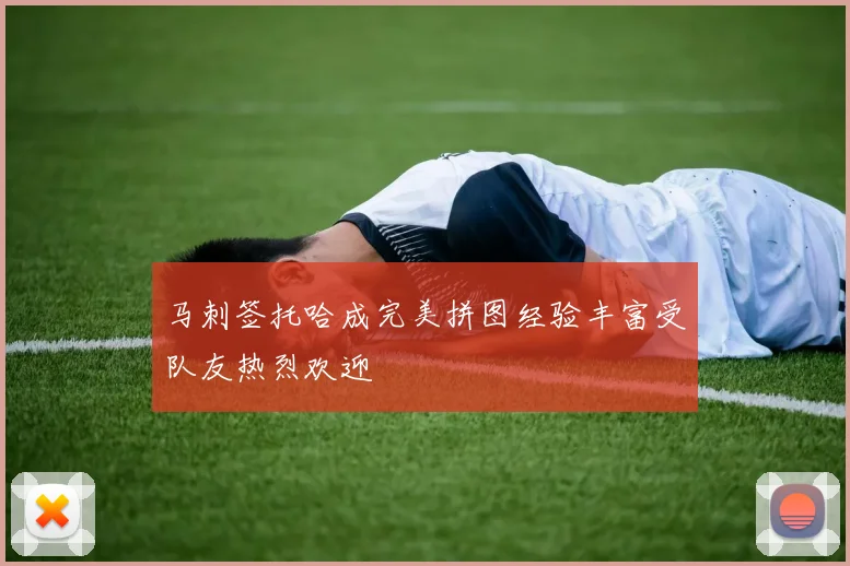 马刺签托哈成完美拼图经验丰富受队友热烈欢迎