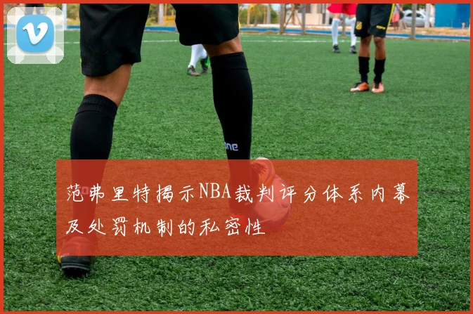 范弗里特揭示NBA裁判评分体系内幕及处罚机制的私密性